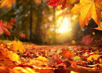 El tiempo / Pronóstico para mañana en toda la región