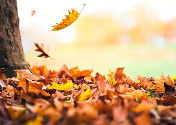 El tiempo / Pronóstico para mañana en toda la región