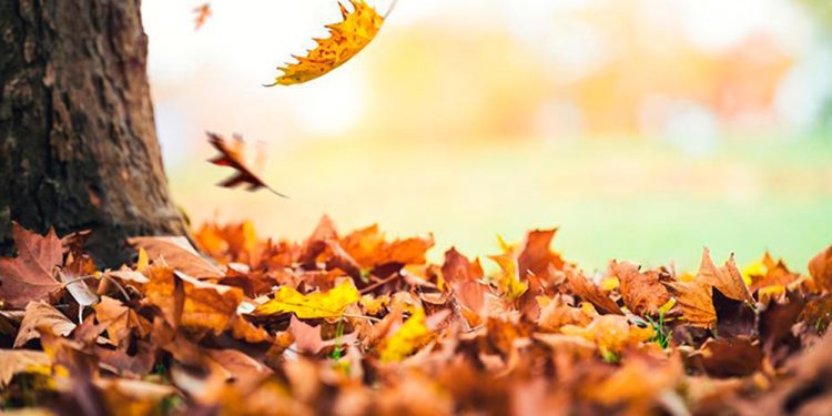 El tiempo / Pronóstico para mañana en toda la región