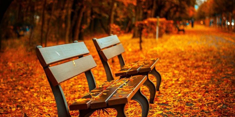 El tiempo / Pronóstico para hoy en toda la región