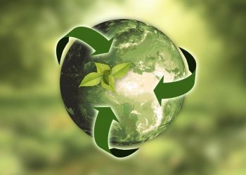 Día Mundial del Medio Ambiente: los desafíos hacia una economía circular en Chile