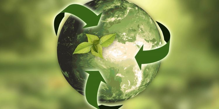 Día Mundial del Medio Ambiente: los desafíos hacia una economía circular en Chile