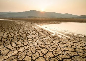 Opinión / ¿Por qué es importante actuar a nivel regional cuando se habla de cambio climático?