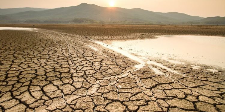 Opinión / ¿Por qué es importante actuar a nivel regional cuando se habla de cambio climático?