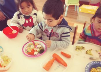 Junji recomienda mantener alimentación saludable y hacer actividad física en estas vacaciones