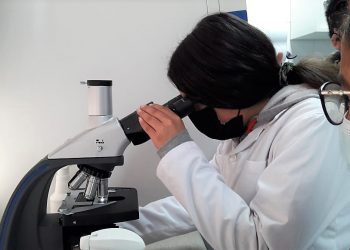 Escolares de Algarrobo trabajan competencias científicas en laboratorio de la UPLA