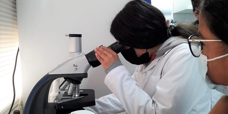 Escolares de Algarrobo trabajan competencias científicas en laboratorio de la UPLA