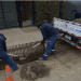 Sistema frontal: municipio de Viña del Mar potencia preparativos y activa plan de contingencia para evento climático
