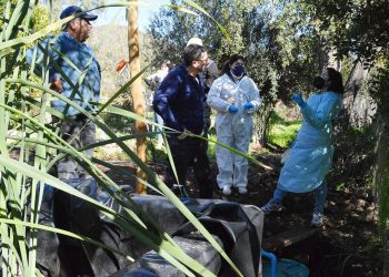 Colliguay: con caudalímetro y estación meteorológica reforzarán monitoreo de humedal