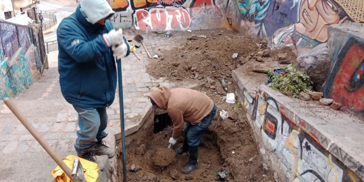 Alcaldía Ciudadana despliega totalidad de capacidad técnica por sistema frontal en Valparaíso