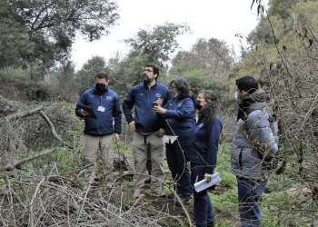 Segundo Tribunal Ambiental inspeccionó humedal urbano Reserva Natural Municipal Piedras Blancas en Limache