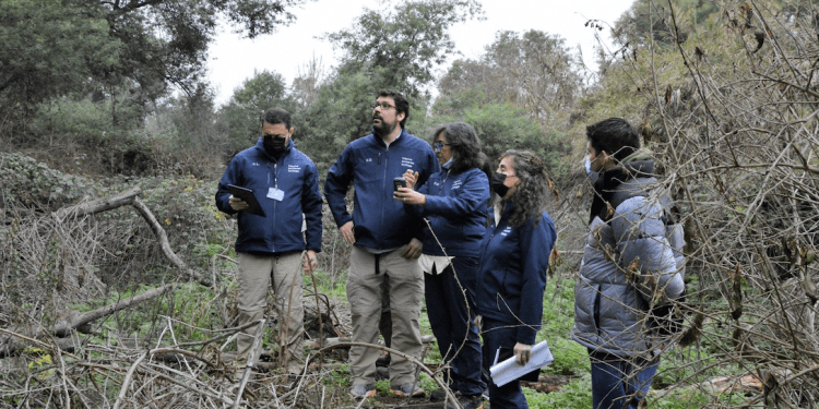 Segundo Tribunal Ambiental inspeccionó humedal urbano Reserva Natural Municipal Piedras Blancas en Limache