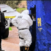 Detienen a presunto autor de homicidio de mujer hallada por transeúntes en un sitio eriazo en El Belloto de Quilpué