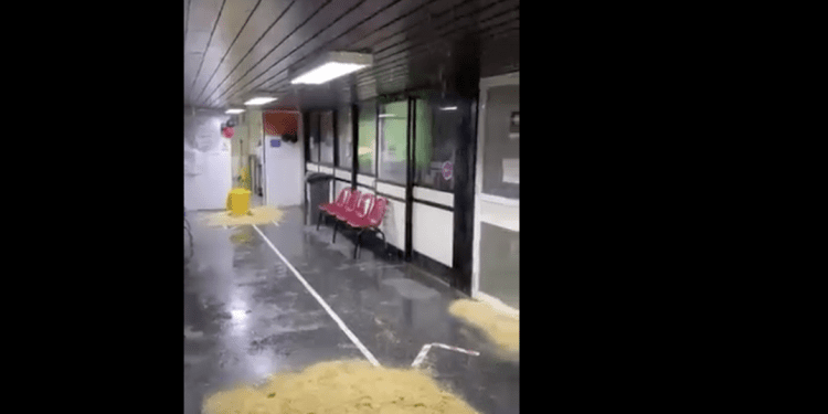 Alcalde denuncia que limachinos no pueden depender del nuevo hospital biprovincial