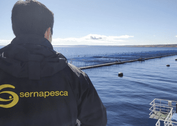 Diputado Cuello denuncia abuso laboral grave de dos funcionarios de Sernapesca