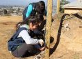 Estudiantes de la Universidad Santo Tomás realizarán trabajos voluntarios de invierno en Quebrada Escobares