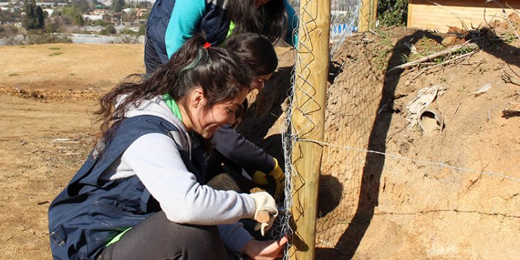 Estudiantes de la Universidad Santo Tomás realizarán trabajos voluntarios de invierno en Quebrada Escobares
