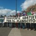 Concejales y parlamentario solicitan transporte público gratuito para el día del plebiscito constitucional