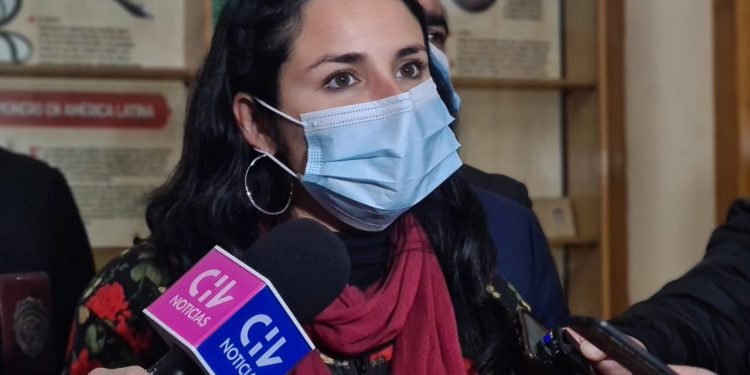 Diputado Celis no descarta presentar acusación constitucional contra delegada Sofía González por vehículos atrapados en el paso Los Libertadores