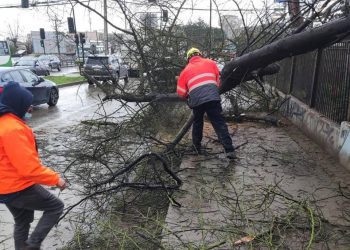 Activo despliegue de los equipos municipales de Viña del Mar para afrontar el sistema frontal
