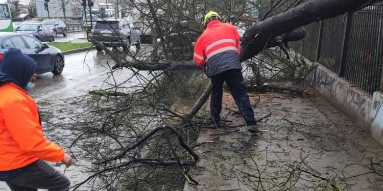 Activo despliegue de los equipos municipales de Viña del Mar para afrontar el sistema frontal