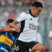 Everton tuvo todo para ganar: con nueve jugadores Colo Colo se lleva un valioso empate