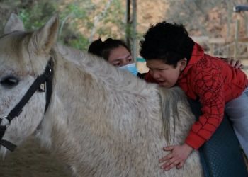 Cuando los caballos sanan: niños de Villa Alemana acceden a equinoterapia por convenio municipal