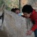Cuando los caballos sanan: niños de Villa Alemana acceden a equinoterapia por convenio municipal