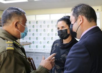 Seguridad pública: implementan fuerza de tarea para combatir el comercio ilícito en la región