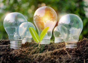 Opinión / La Nueva Constitución Ecológica nos une