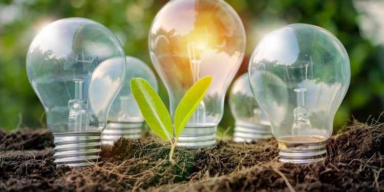 Opinión / La Nueva Constitución Ecológica nos une