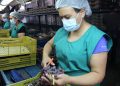 Seremi del Trabajo por última tasa de desocupación regional de un 8,1%: «Impulsar el empleo femenino formal es clave para seguir recuperando la empleabilidad»