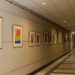 Museo Universitario del Grabado de la UPLA presentará exposición en el Senado