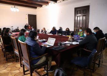 Concejo Municipal porteño aprobó modificar ordenanza que otorga patentes provisorias en apoyo al comercio local