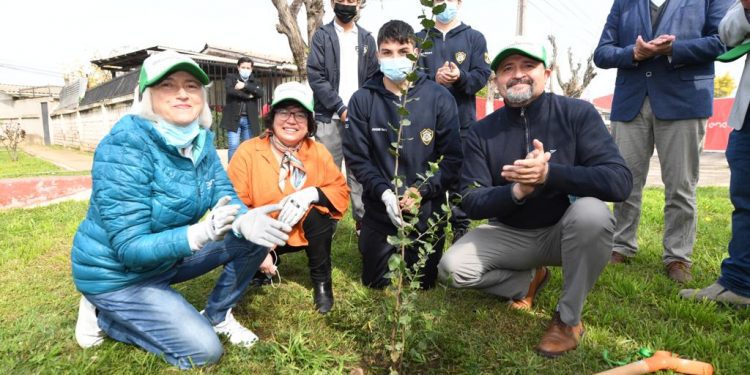 Quillota implementará el proyecto de arborización urbana más grande de Chile: habrá un árbol por cada habitante de la comuna