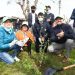 Quillota implementará el proyecto de arborización urbana más grande de Chile: habrá un árbol por cada habitante de la comuna