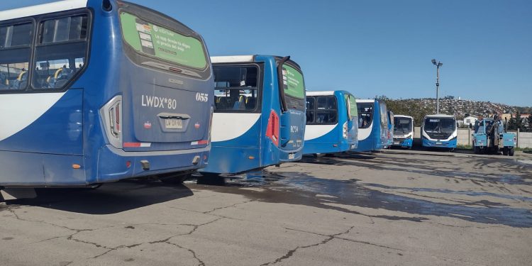 Líneas 402 y 406 de Viña Bus retoman horario normal tras ser atacados con piedras el fin de semana