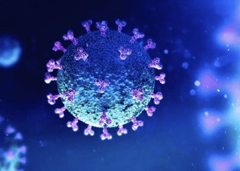 Pandemia en Chile: Minsal informa que no hubo fallecidos por COVID-19 en la región de Valparaíso