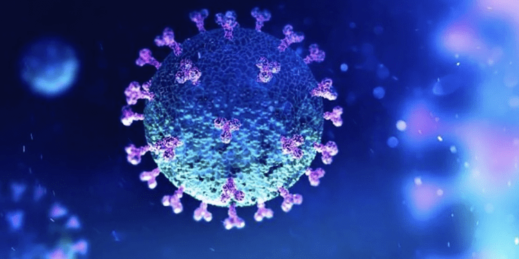 Pandemia en Chile: Minsal informa que no hubo fallecidos por COVID-19 en la región de Valparaíso