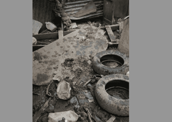 La denuncia de hoy / Abuelitos y 19 perros viven desamparados en Rodelillo