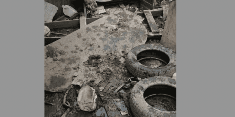 La denuncia de hoy / Abuelitos y 19 perros viven desamparados en Rodelillo