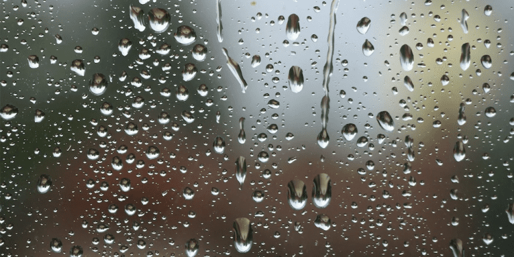 El tiempo / Pronóstico para mañana en toda la región