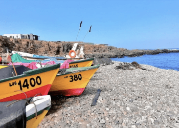 Conocen detalles de la implementación de la ley que regula el desarrollo integral y armónico de caletas pesqueras