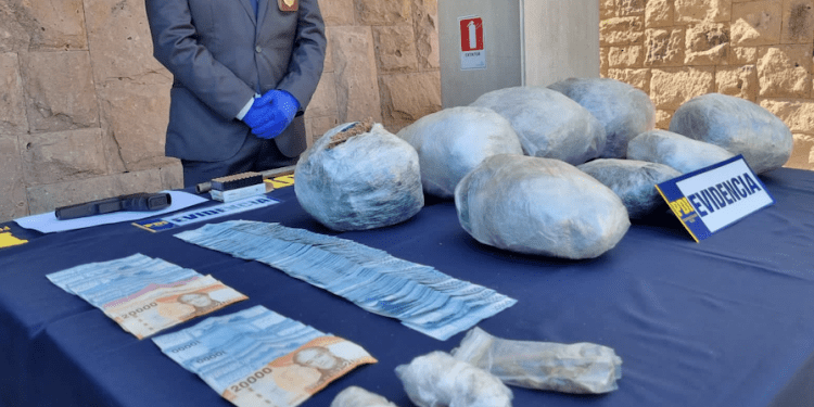 PDI Los Andes desarticula banda dedicada al cultivo y venta de cannabis