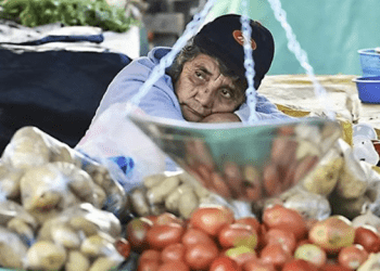 Opinión / La (in)seguridad alimentaria en la pospandemia