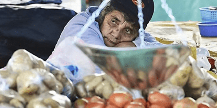 Opinión / La (in)seguridad alimentaria en la pospandemia