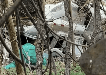 Fallece piloto: cae helicóptero en el sector Las Bandurias de la comuna de San Esteban