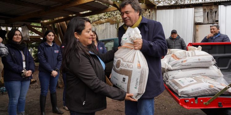 Fertilizantes para Chile: Gobierno inicia entrega de 12 mil toneladas con una inversión de $ 14 mil millones para beneficiar a agricultores