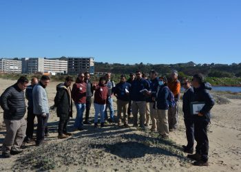 Ministros del Segundo Tribunal Ambiental realizaron visita inspectiva al humedal urbano Estuario Los Molles