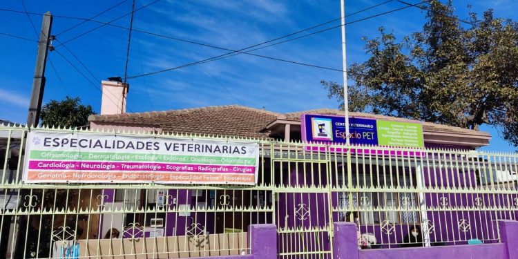 Buenas noticias para los amantes de las mascotas: Espacio Pet reinaugurará su centro veterinario en Villa Alemana
